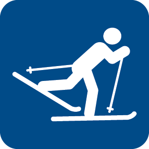 cross-country ski icon
