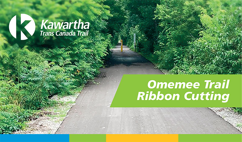 view of paved trail in omemee, ontario